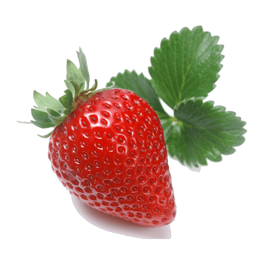 Sweet Charlie strawberries