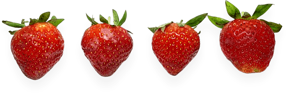 Four strawberries in a row