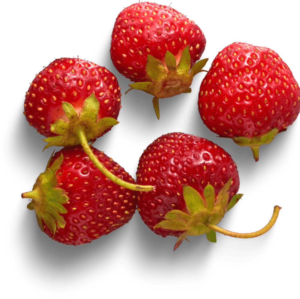 Strawberries scattered on a plain ground